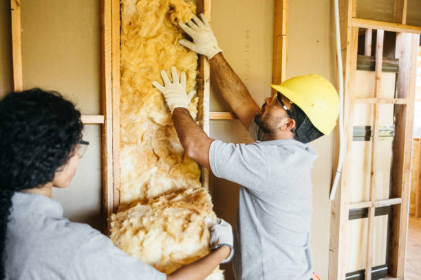 Best Spray Foam Insulation  in Kiryas Joel, NY